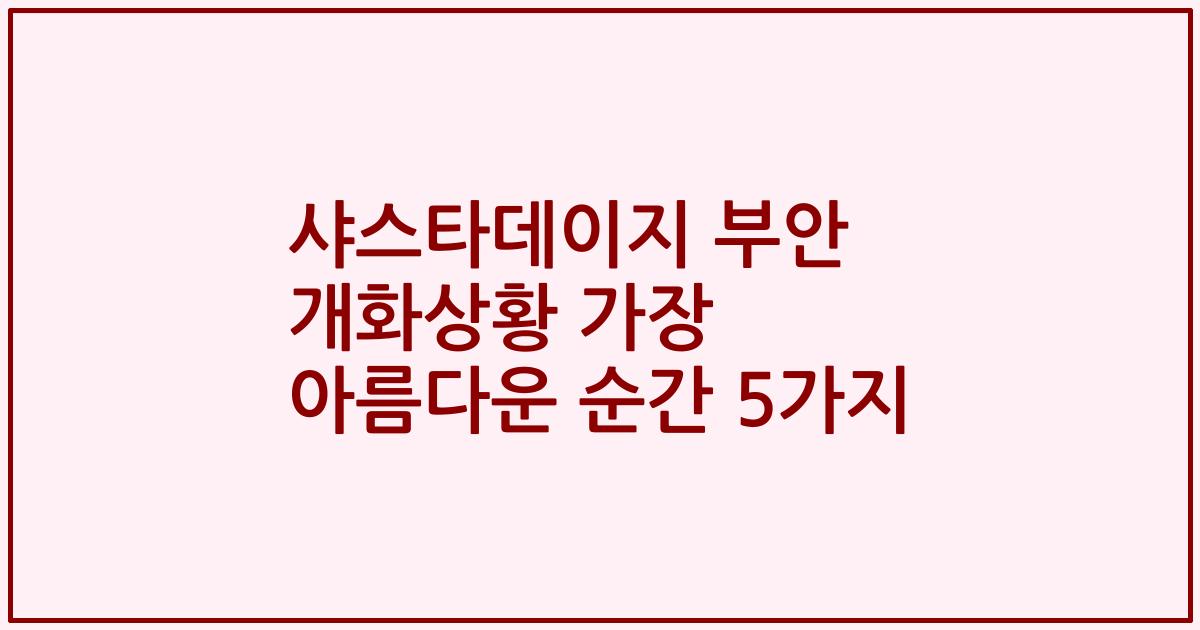 샤스타데이지 부안 개화상황 가장 아름다운 순간 5가지