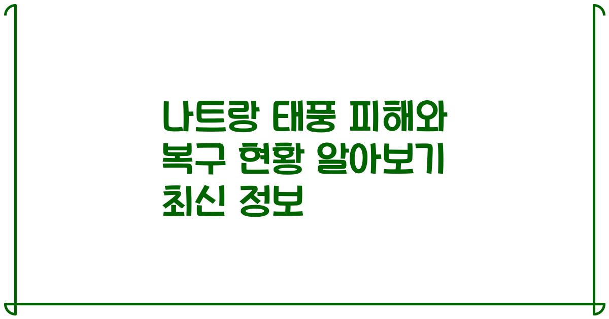 나트랑 태풍 피해와 복구 현황 알아보기 최신 정보
